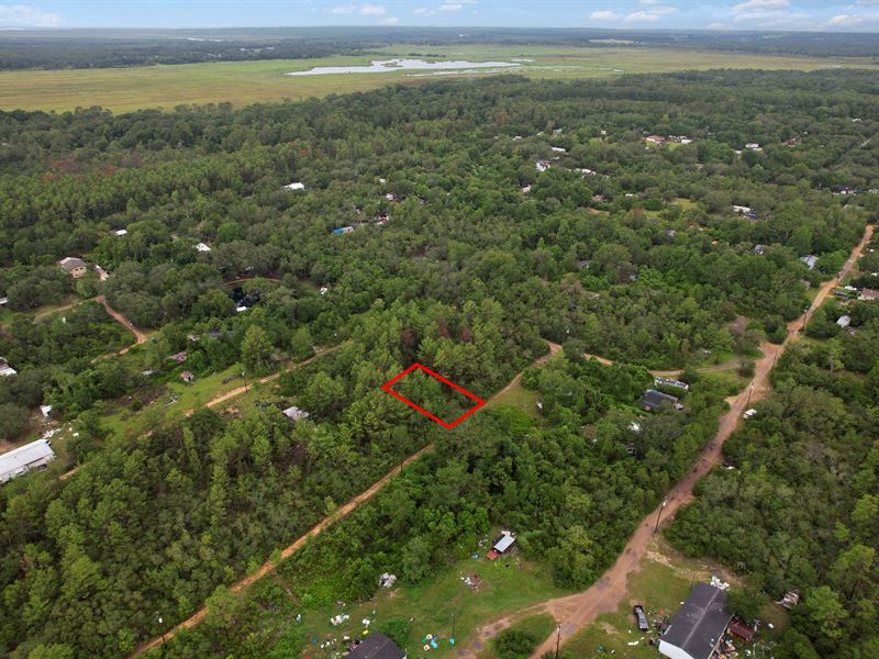 Peace in The Pines : Umatilla : Marion County : Florida