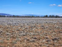 Give The Gift of Land, Discounted : Sprague River : Klamath County : Oregon