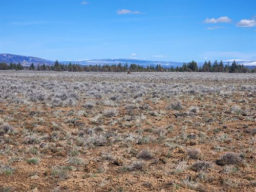 Give The Gift of Land, Discounted : Sprague River : Klamath County : Oregon