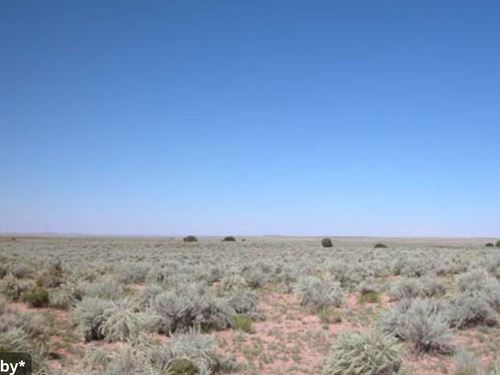 4.6 Acre Off Grid Friendly Land : Chambers : Apache County : Arizona