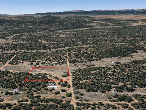 2.36 Acre Colorado Retreat : Cotopaxi : Fremont County : Colorado