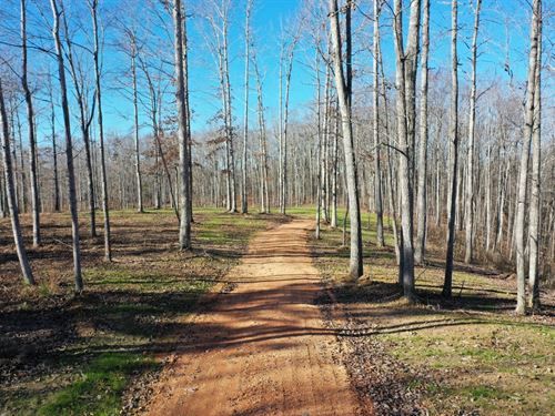 Beautiful Homesite With Acreage : Nunnelly : Hickman County : Tennessee