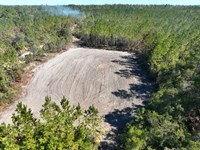 102 Acres Land For Sale in Brant : Hortense : Brantley County : Georgia