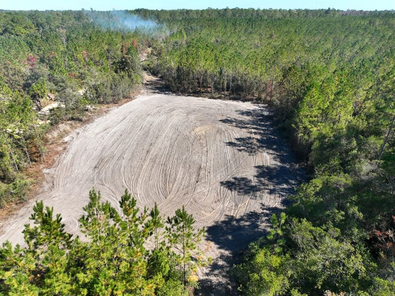 102 Acres Land for Sale in Brant : Hortense : Brantley County : Georgia