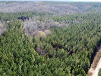 Cedar Creek Farm, 79 Ac in Rand : Roanoke : Randolph County : Alabama