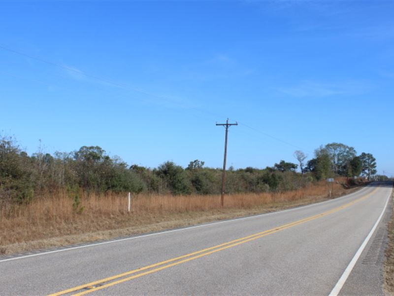 Nice Rural Property On Hwy 106 : Georgiana : Butler County : Alabama
