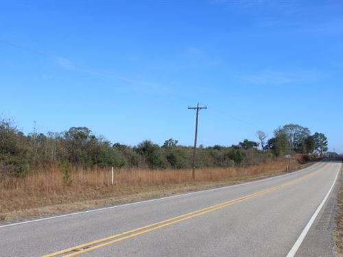 Nice Rural Property On Hwy 106 : Georgiana : Butler County : Alabama
