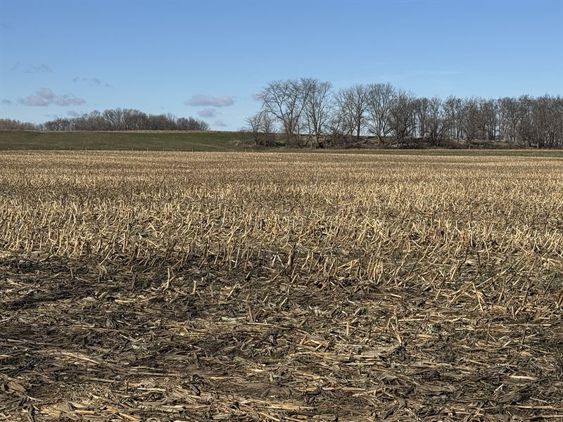 Land Auction, Fayette Co Indiana : Milton : Fayette County : Indiana