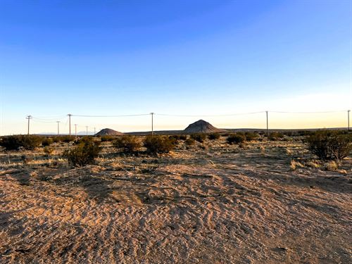 Desert Views, Water in Road : California City : Kern County : California