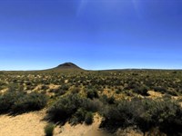 Desert Views, Water in Road : California City : Kern County : California
