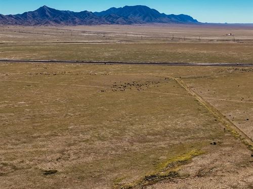 Spacious Lot, $1 Down : Belen : Valencia County : New Mexico