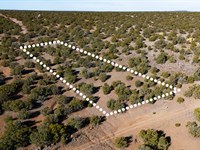 No HOA, High & Dry, $1 Down : Concho : Apache County : Arizona