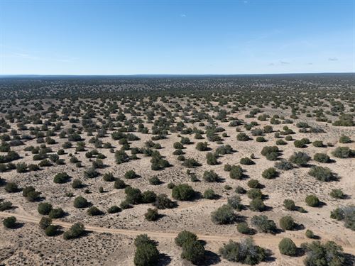 No HOA, High & Dry, $1 Down : Concho : Apache County : Arizona