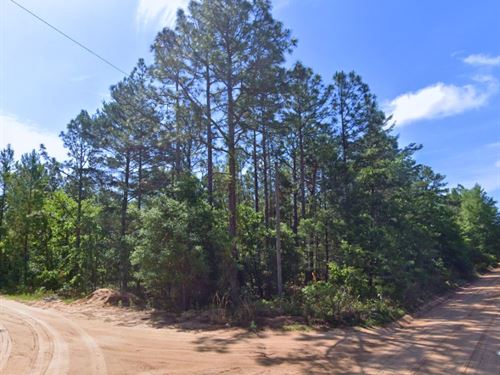 Near Lake Margie, Owner Financing : Keystone Heights : Clay County : Florida