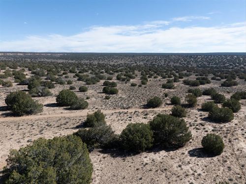 Near Ortega Lake, No HOA, $1 Down : Concho : Apache County : Arizona