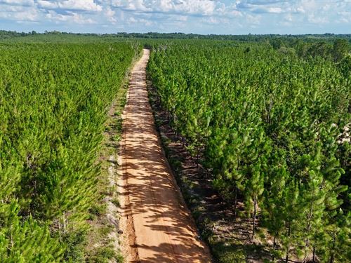 Tract 7, Penny Morris Road, Baxley : Baxley : Appling County : Georgia