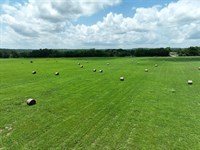 8 Acres in Booth, AL Lot10 : Booth : Autauga County : Alabama