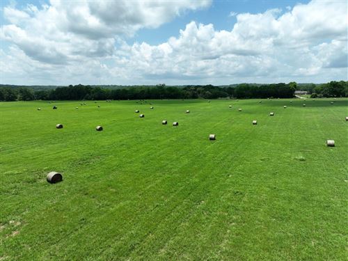 8 Acres in Booth, AL Lot10 : Booth : Autauga County : Alabama