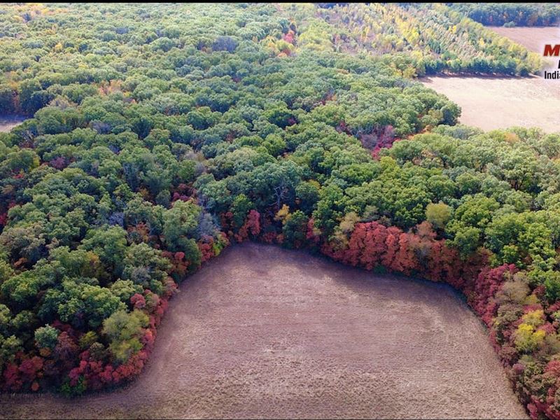 Winamac 40 : Winamac : Pulaski County : Indiana