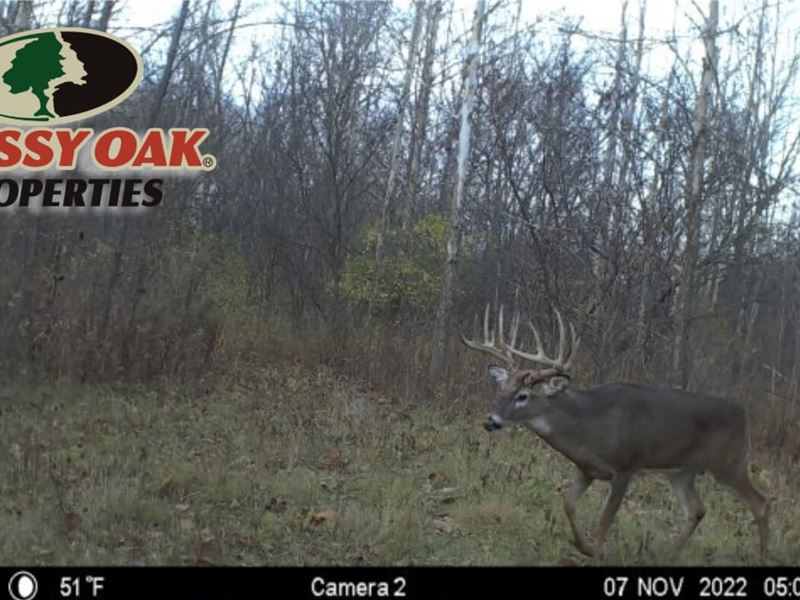 21.22 Acres / N State Road 15 : Roann : Wabash County : Indiana