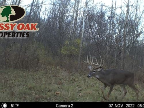 21.22 Acres / N State Road 15 : Roann : Wabash County : Indiana