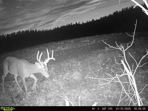 158 Acres in Meigs County, TN : Decatur : Meigs County : Tennessee