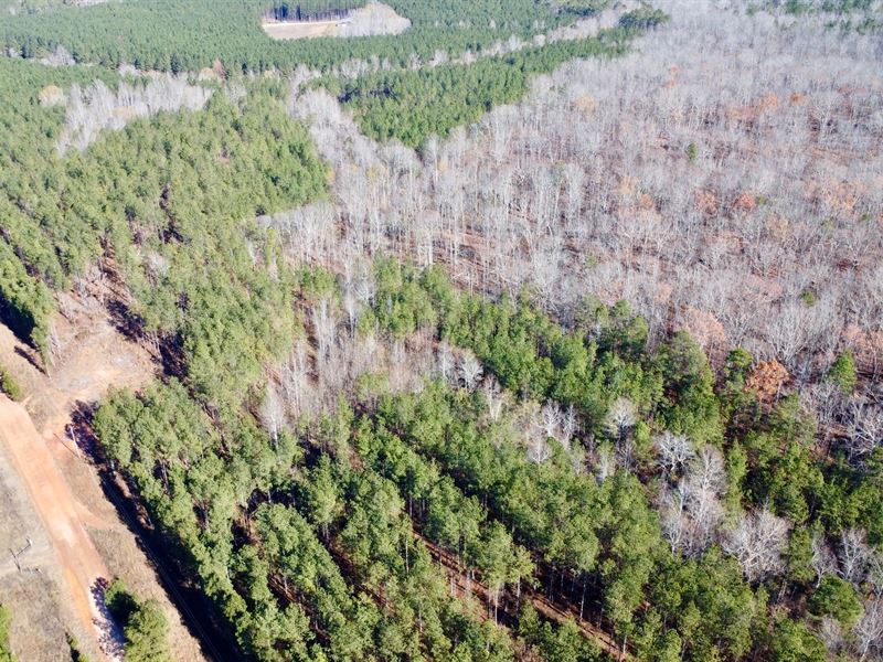 38 Acres in Randolph County : Roanoke : Randolph County : Alabama