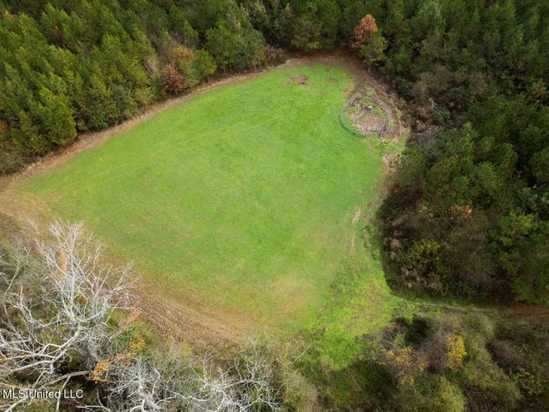283 Acres for Sale Amite County : Liberty : Amite County : Mississippi