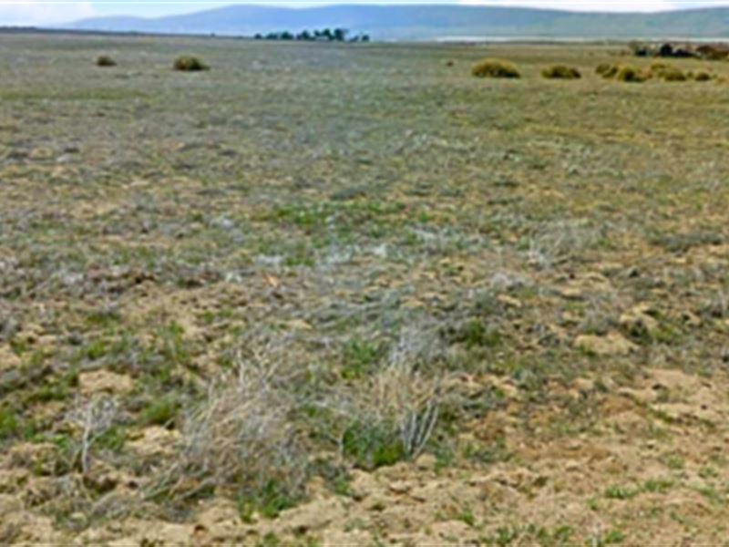 Great Spot for Farming : Santa Margarita : San Luis Obispo County : California