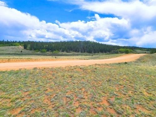 Camp or Build Mountain Lot : Como : Park County : Colorado