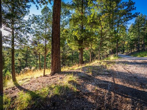 Hillside Lot, Power & Water : Cloudcroft : Otero County : New Mexico