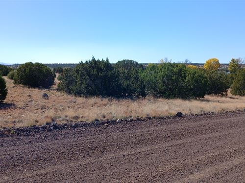 Affordable Acres, Priceless Views : Concho : Apache County : Arizona