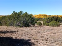 Affordable Ready to Build : Concho : Apache County : Arizona