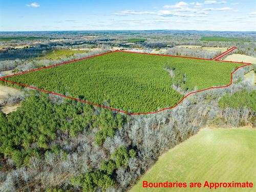 Unrestricted Silk Hope Community : Siler City : Chatham County : North Carolina