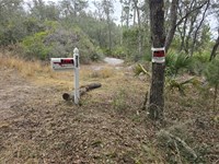 Your Lakefront Property at Satsuma : Satsuma : Putnam County : Florida