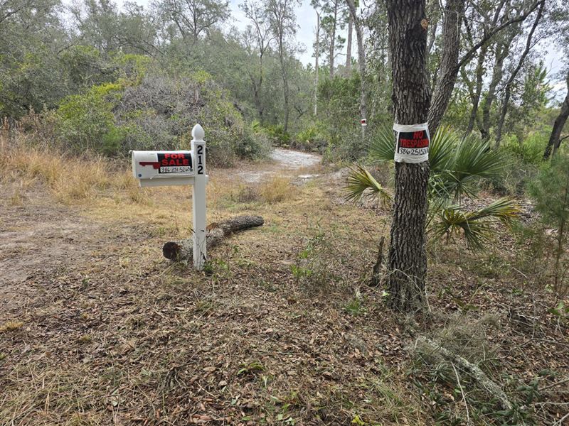 Your Lakefront Property at Satsuma : Satsuma : Putnam County : Florida