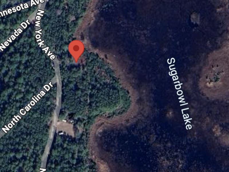 Your Lakefront Property at Satsuma : Satsuma : Putnam County : Florida