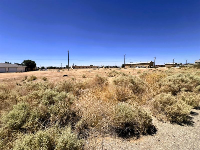 Owner Financing, Paved, Power Water : California City : Kern County : California