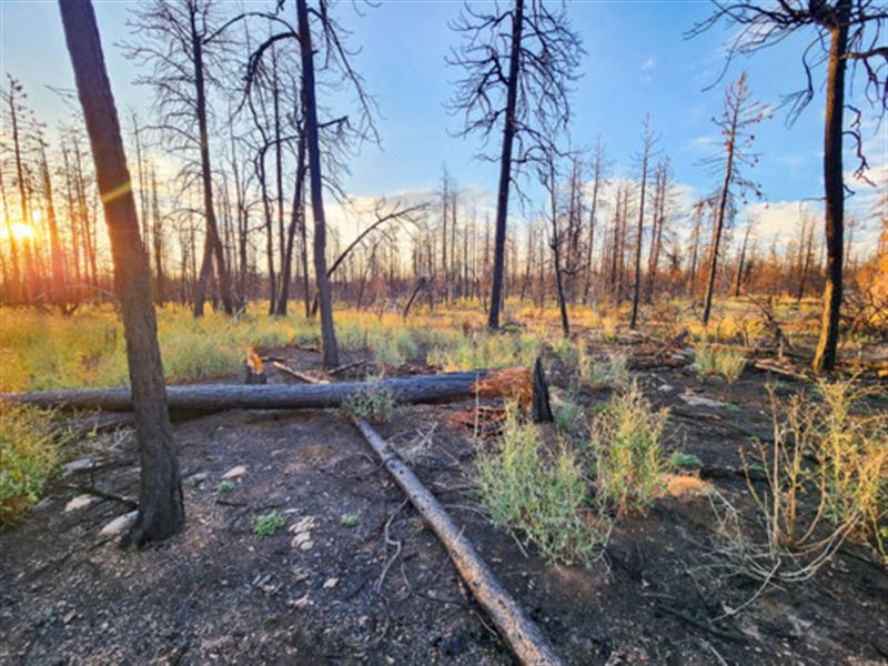 From Ashes to Adventure : Bonanza : Klamath County : Oregon