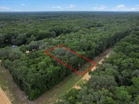 Escape The Cold in Florida : Interlachen : Putnam County : Florida