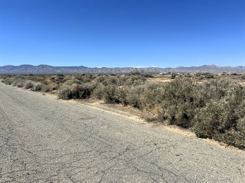 Owner Financing. Paved,Power,Water : California City : Kern County : California