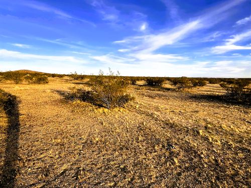 Owner Financing, Double Lot : California City : Kern County : California