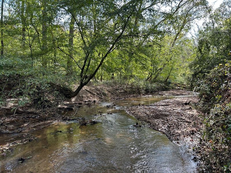 Timber Hunting Homesites : Milledgeville : Baldwin County : Georgia