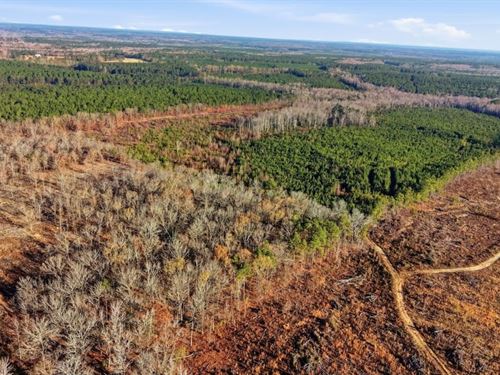 92.67 Acres of Recreational And Agr : Bishopville : Lee County : South Carolina