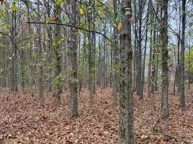 37 Acres in Tallahatchie County : Charleston : Tallahatchie County : Mississippi