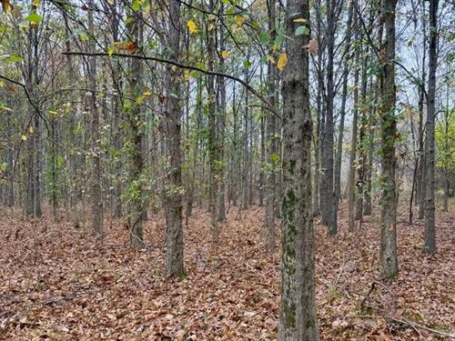 37 Acres in Tallahatchie County : Charleston : Tallahatchie County : Mississippi