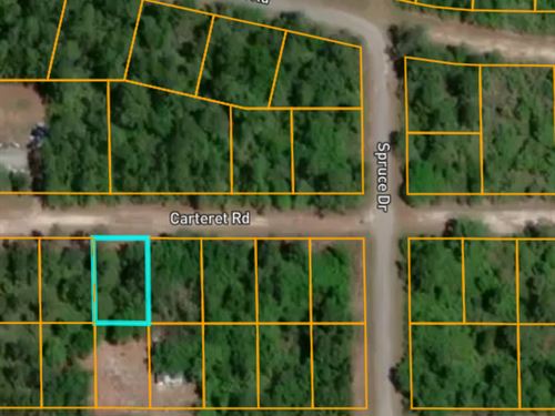 Lote Lake Access FL : Georgetown : Putnam County : Florida