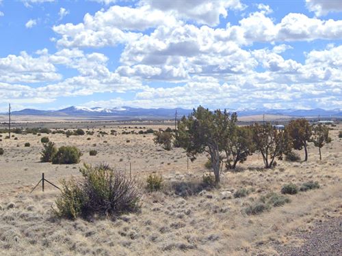 Room to Dream Under Arizona Skies : Concho : Apache County : Arizona