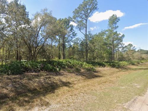 Lote Con Acceso AL Lago FL : Georgetown : Putnam County : Florida