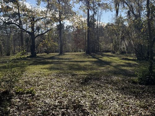 Beautiful Wooded Estate Lot : Chattahoochee : Gadsden County : Florida